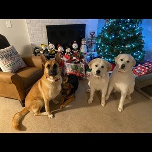 Meet your Posher, Kelsey